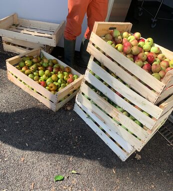 WhatsApp Image 2025-09-30 à 11.50.38_0efcba17.jpg